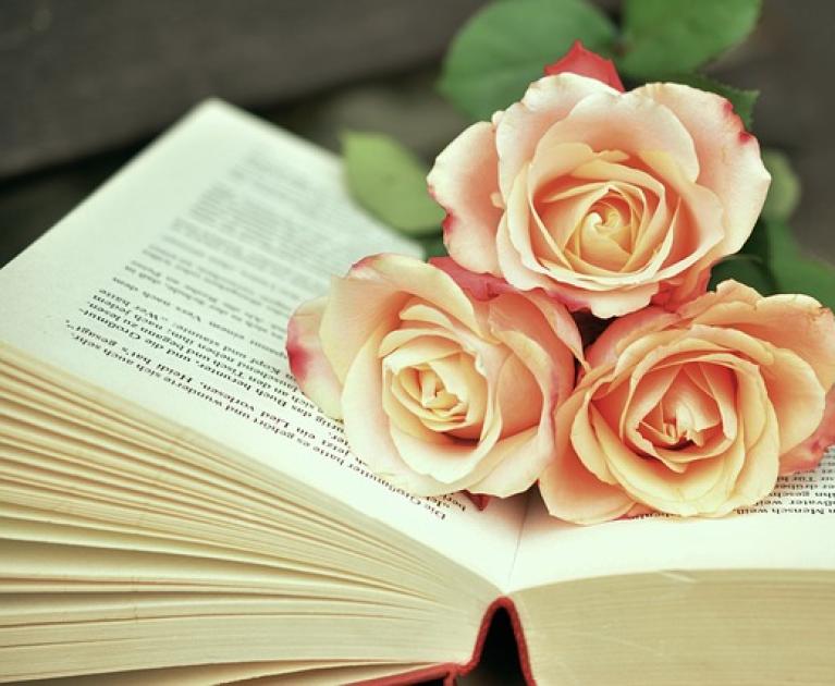 Three delicate roses on an open book, evoking romance and serenity.